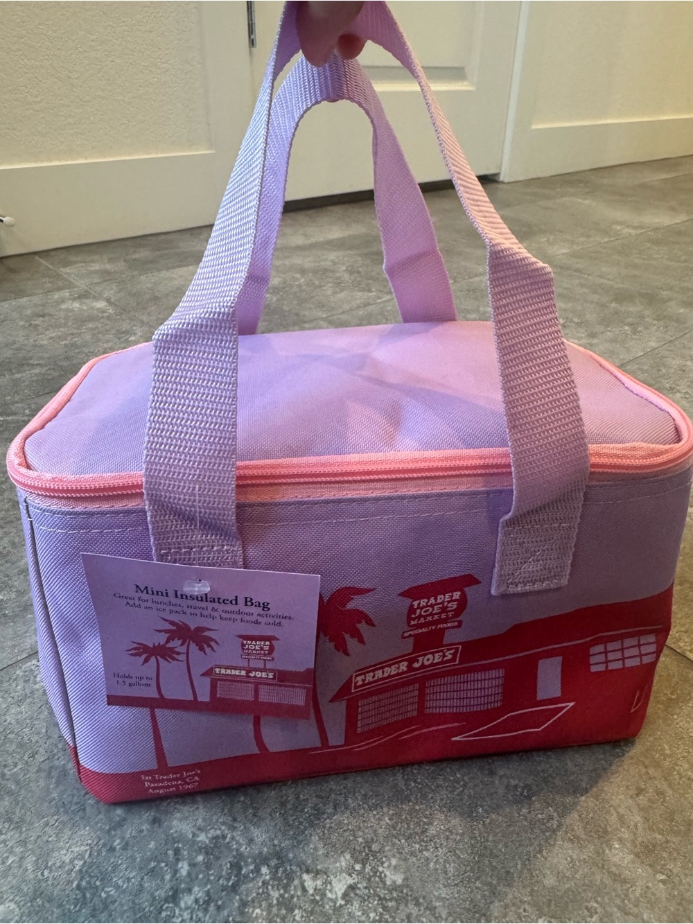 Trader Joe’s purple colorful mini insulated bags NEW